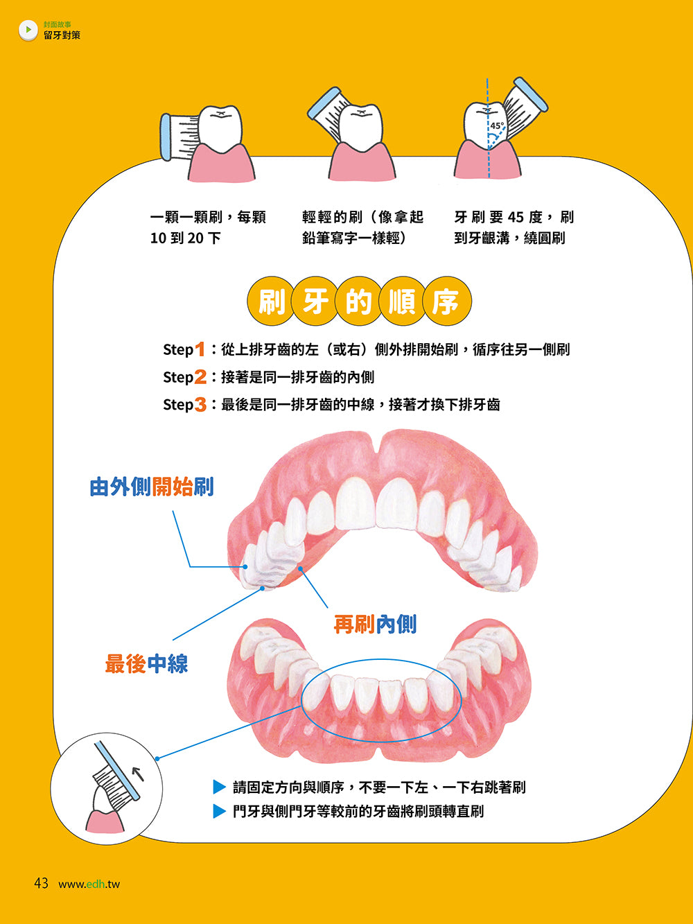 🔥新刊上市🔥早安健康 2024/02.03月 《留牙對策》：中、西醫最強固齒術，守住每一顆牙