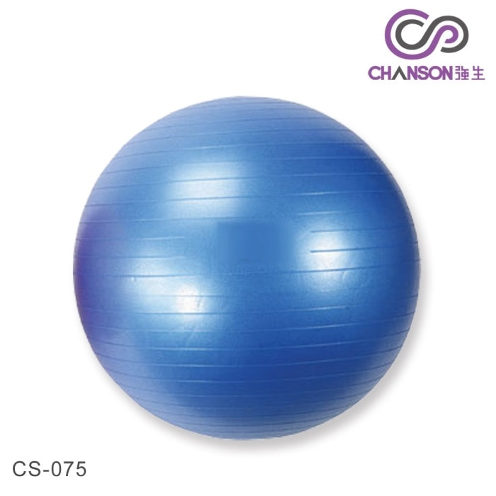 【強生】瑜珈抗力球(直徑65cm) CS-075